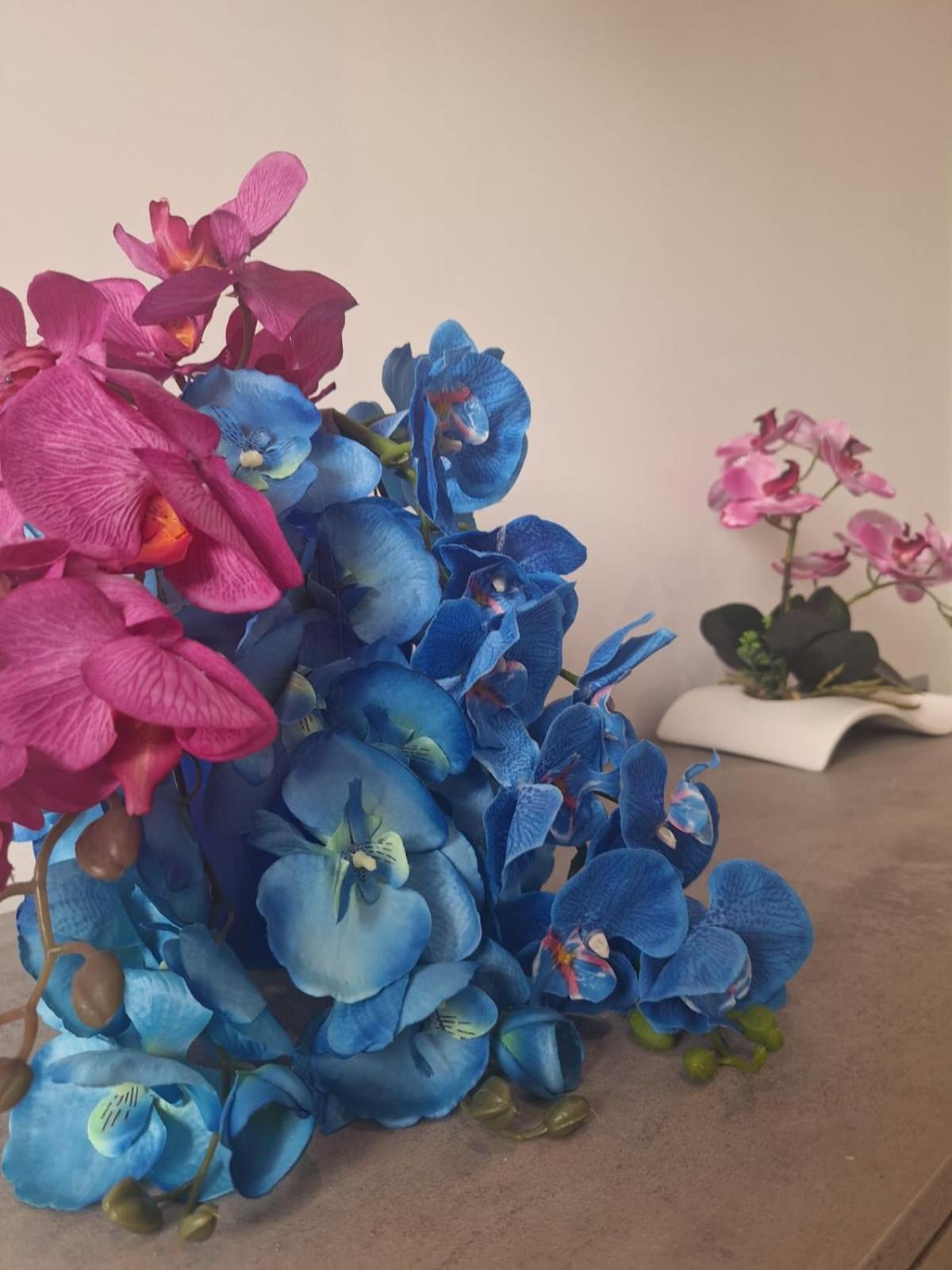 Grazia'S Home Sant'Agnello Luaran gambar