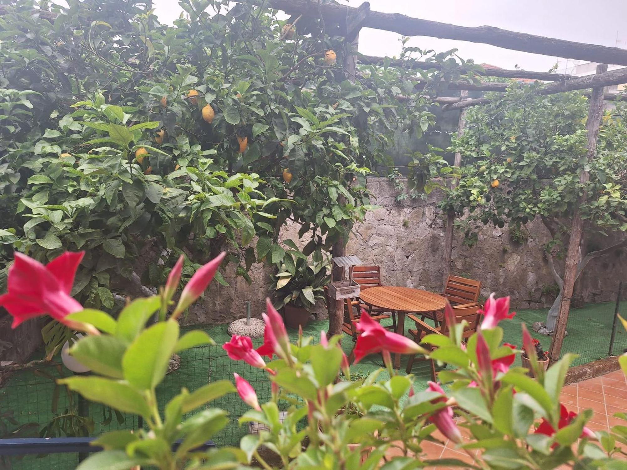 Grazia'S Home Sant'Agnello Luaran gambar