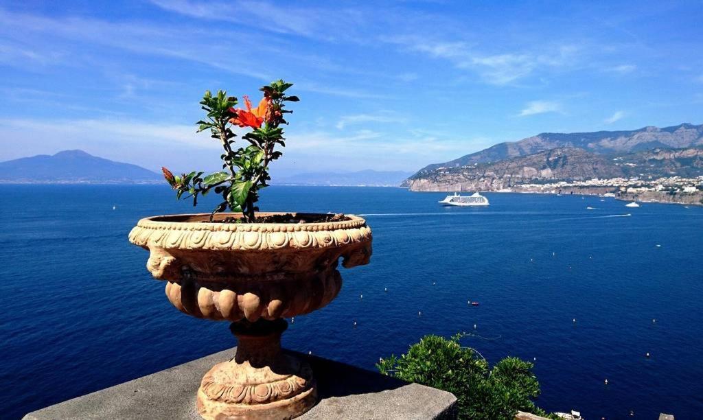 Grazia'S Home Sant'Agnello Luaran gambar