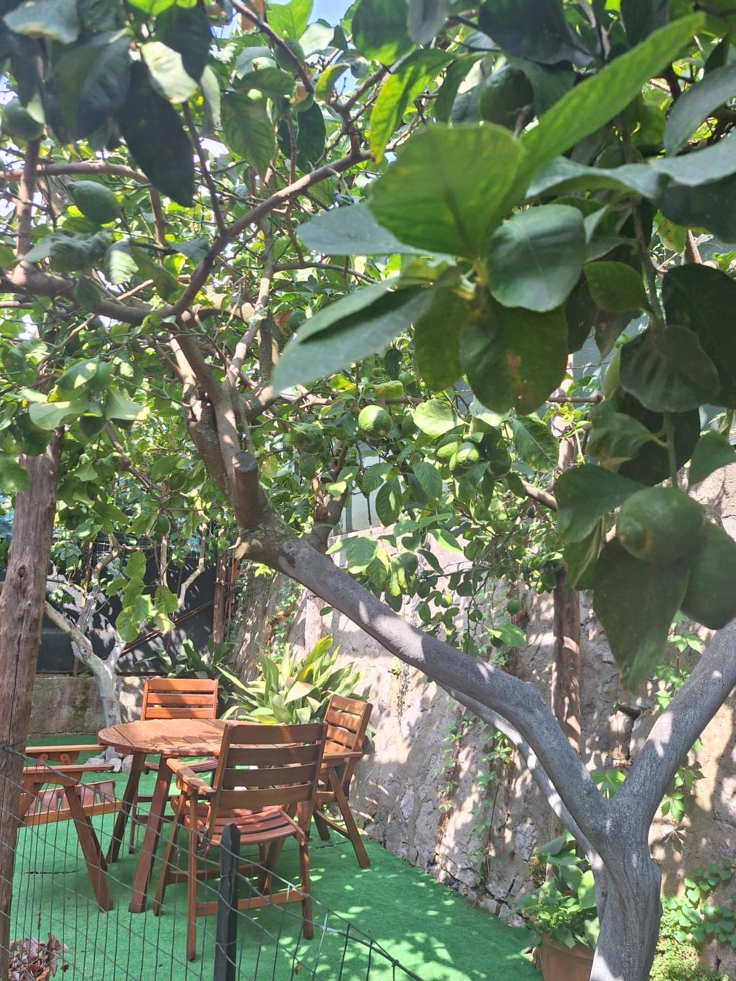 Grazia'S Home Sant'Agnello Luaran gambar